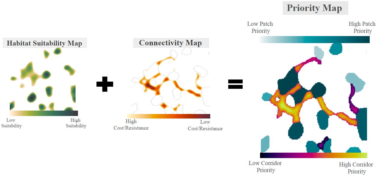 Conceptual Figure